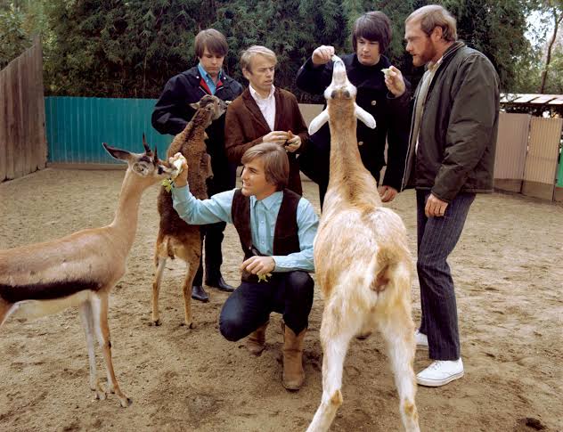 Pet Sounds: el álbum de The Beach Boys que cambió para siempre la idea de lo que podía ser un disco